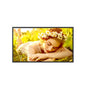 32UL5Q-M - LG 32UL5Q-M 32" Commercial Display