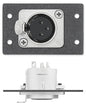 One XLR 3-pin Female to Solder