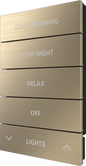 Horizon® 2 Button Assembly, Style 2, Custom Engraved, Brushed Brass