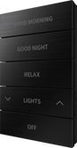 Horizon® 2 Button Assembly, Style 3, Custom Engraved, Brushed Black